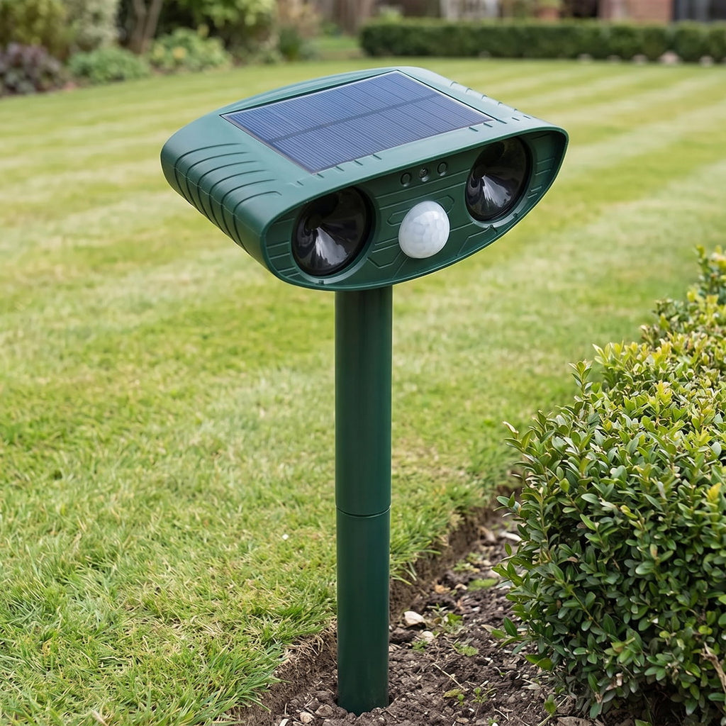 Perimeter Sentry on a lawn edge, sensor cone facing the gap